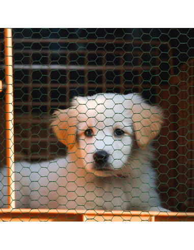 Malla de Alambre de Pollo Galvanizado SATINIOR 2 Hojas 34.8x406.4cm