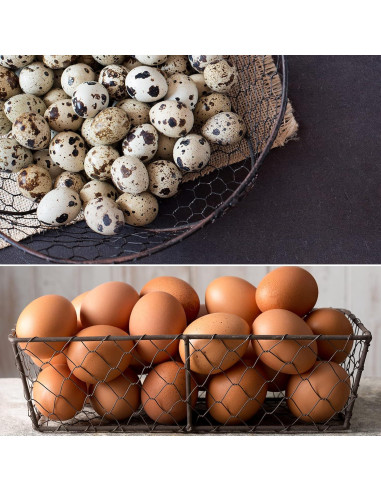 Malla de Alambre de Pollo Galvanizado SATINIOR 2 Hojas 34.8x406.4cm