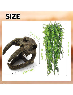 Decoración para Terrario MUYG - Calavera y Hamaca para Reptiles 2