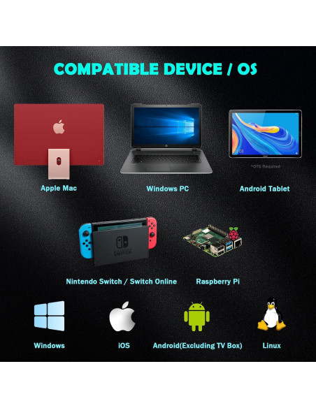 Controlador Inalámbrico 2.4 GHz SAFFUN para Switch y PC - 2 Paquete