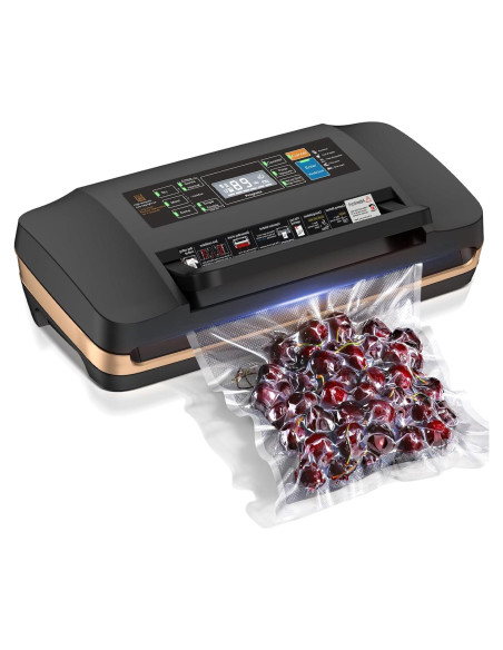 Máquina de Sellado al Vacío QIQIAOB SV608 130W Doble Sellado