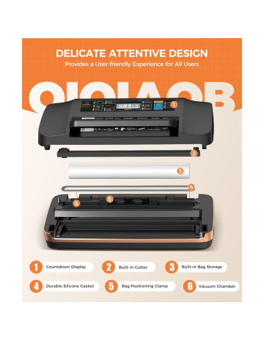 Máquina de Sellado al Vacío QIQIAOB SV608 130W Doble Sellado