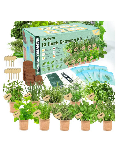 Kit de Jardín de Ventana EquSym - 10 Hierbas Orgánicas para Interior