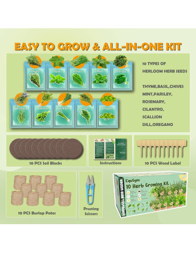 Kit de Jardín de Ventana EquSym - 10 Hierbas Orgánicas para Interior