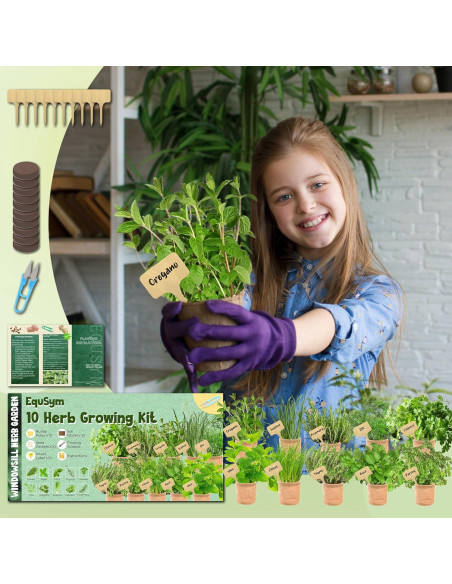 Kit de Jardín de Ventana EquSym - 10 Hierbas Orgánicas para Interior