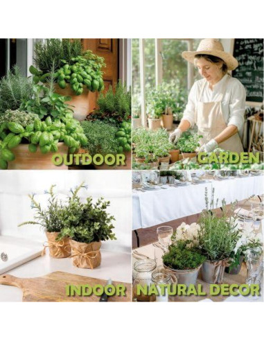 Kit de Jardín de Ventana EquSym - 10 Hierbas Orgánicas para Interior