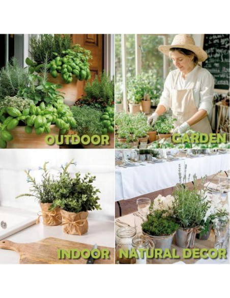 Kit de Jardín de Ventana EquSym - 10 Hierbas Orgánicas para Interior