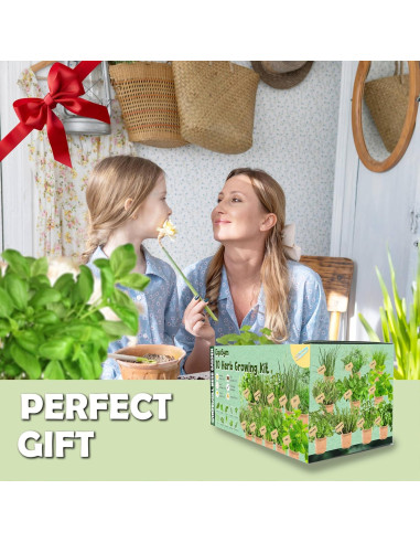 Kit de Jardín de Ventana EquSym - 10 Hierbas Orgánicas para Interior