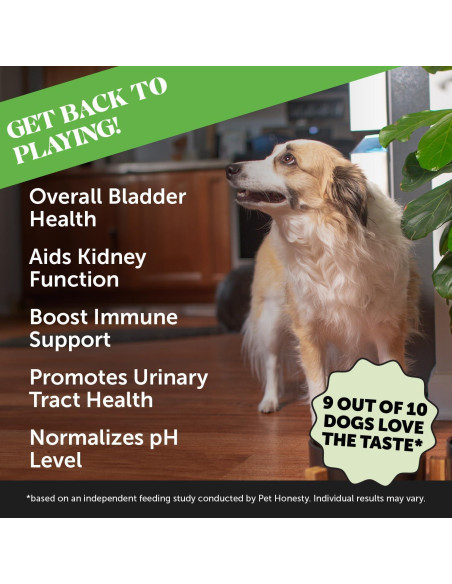 Suplemento de Salud de Vejiga para Perros Pet Honesty - Pollo