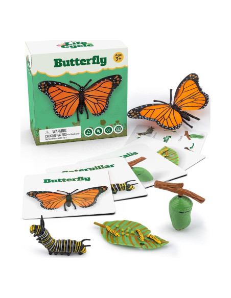 Kit Ciclo de Vida Montessori GLINGLONG - Juguete Educativo 3D Kit Ciclo de Vida Montessori GLINGLONG - Juguete Educativo 3D