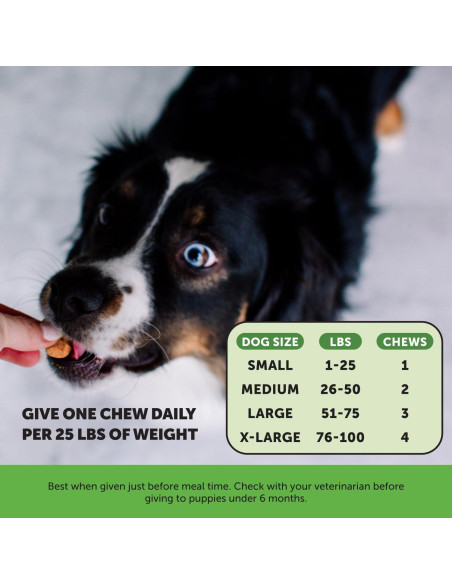 Suplemento de Salud de Vejiga para Perros Pet Honesty - Pollo