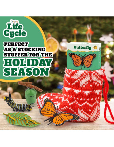 Kit Ciclo de Vida Montessori GLINGLONG - Juguete Educativo 3D