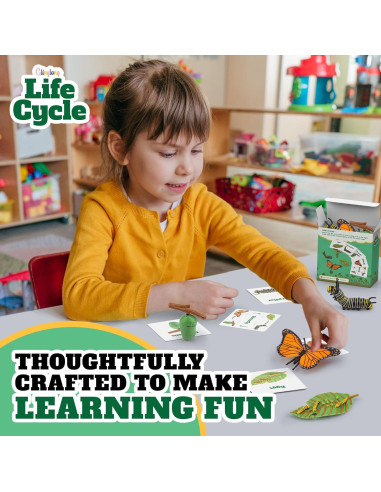 Kit Ciclo de Vida Montessori GLINGLONG - Juguete Educativo 3D