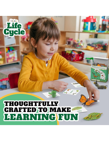 Kit Ciclo de Vida Montessori GLINGLONG - Juguete Educativo 3D Kit Ciclo de Vida Montessori GLINGLONG - Juguete Educativo 3D