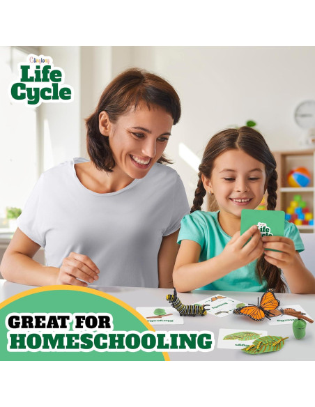 Kit Ciclo de Vida Montessori GLINGLONG - Juguete Educativo 3D Kit Ciclo de Vida Montessori GLINGLONG - Juguete Educativo 3D
