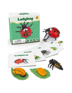 Kit Ciclo de Vida Montessori GLINGLONG - Juguete Educativo