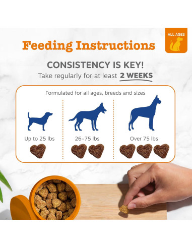 Golosinas Multivitamínicas Zesty Paws para Perros 90ct