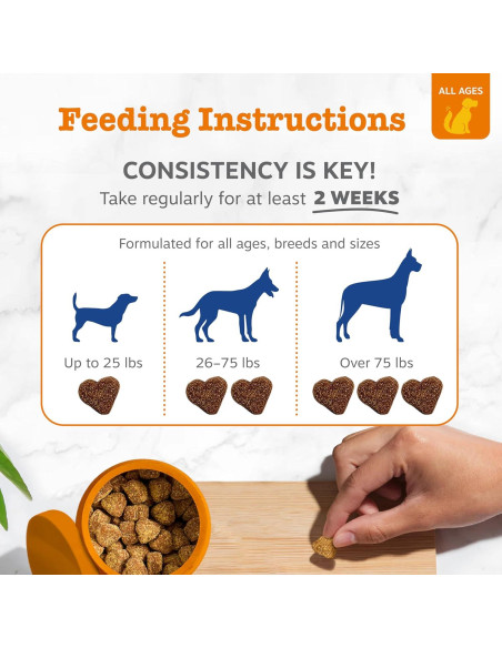 Golosinas Multivitamínicas Zesty Paws para Perros 90ct