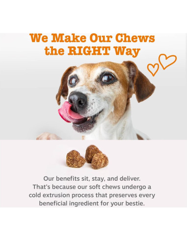 Golosinas Multivitamínicas Zesty Paws para Perros 90ct