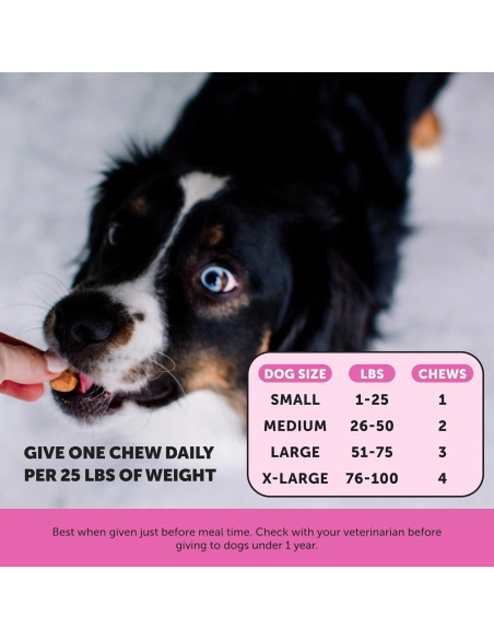 Multivitamínico para Perros Mayores Pet Honesty 90 ct Pato