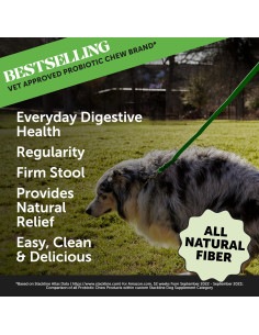 Suplemento de Fibra en Polvo Pet Honesty 90 Porciones Digestión Saludable 2