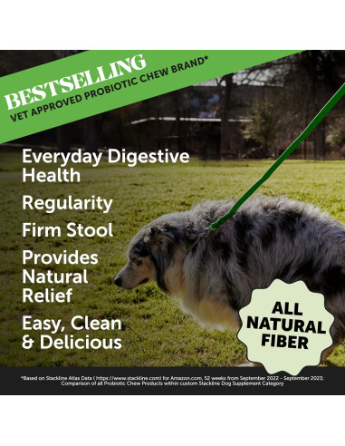 Suplemento de Fibra en Polvo Pet Honesty 90 Porciones Digestión Saludable