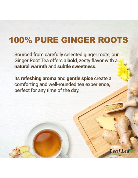 Té de Jengibre LeafLea 120 Bolsitas, 100% Pura Raíz, Sin Cafeína