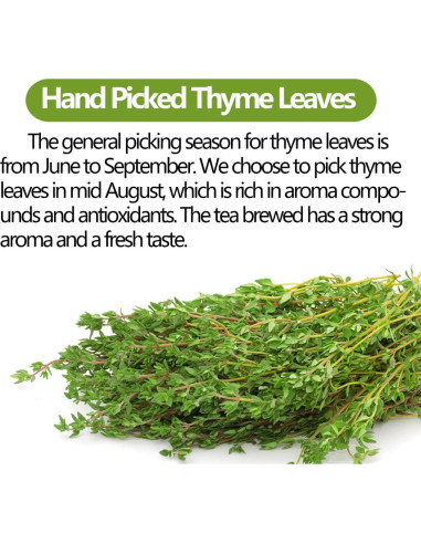 Bolsitas de Té de Tomillo Premium YILINSHA 100 Cuentas