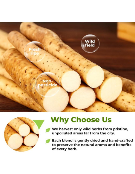 Té Herbal de Raíz de Ñame Silvestre OVVA 113g - Dioscorea