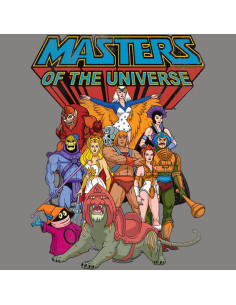 Camiseta para Niños Masters of the Universe Gris Pequeño 2