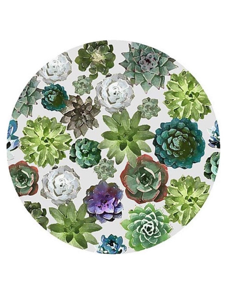 Abrebotellas de Silicona Andreas Suculentas 15.88 cm Antideslizante