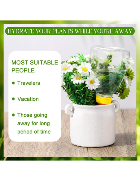 2 Esferas de Autorriego Threlaco 500 ml para Plantas