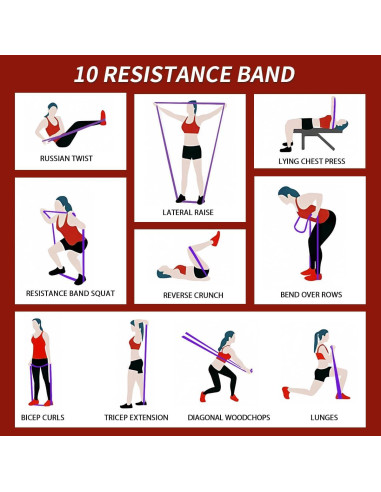 Bandas de Resistencia WHATAFIT 5 Niveles para Ejercicio