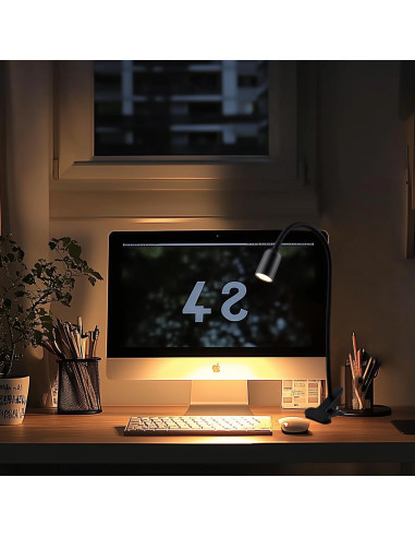 Luz LED de Lectura Clip-On DAMI con Cuello Flexible 3W