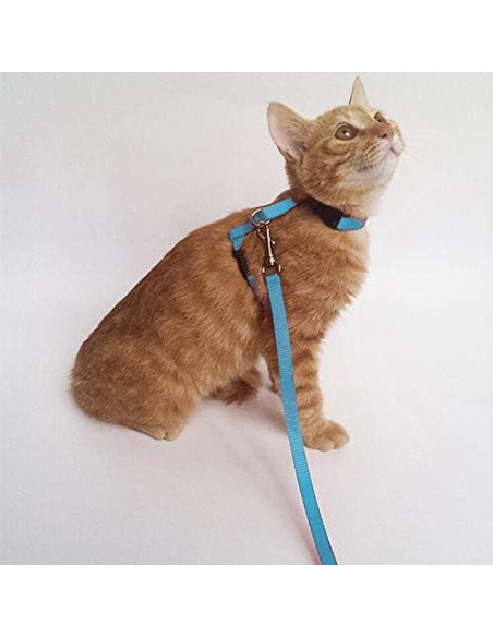 Conjunto Arnés y Correa para Gatos Gizhome Ajustable Nylon