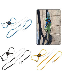 Conjunto Arnés y Correa Ajustable Hypeety para Reptiles Azul 2