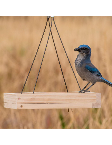 Comedero para Aves Colgante Perky-Pet 50178 0.73 kg