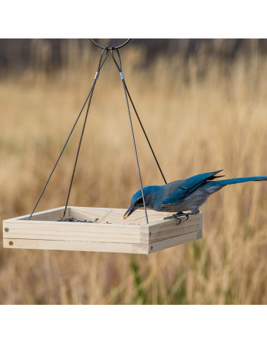 Comedero para Aves Colgante Perky-Pet 50178 0.73 kg