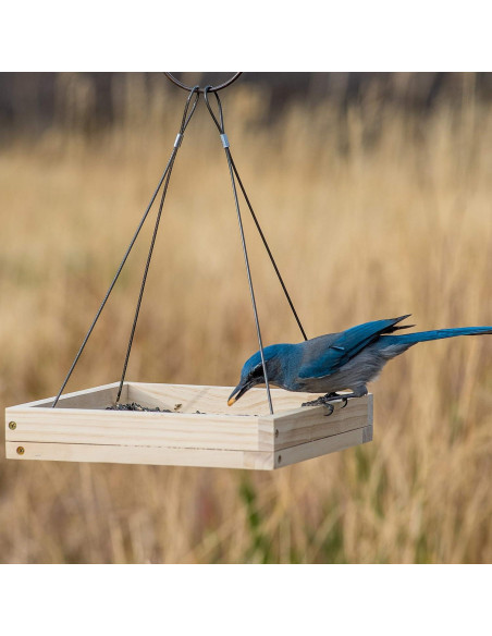 Comedero para Aves Colgante Perky-Pet 50178 0.73 kg