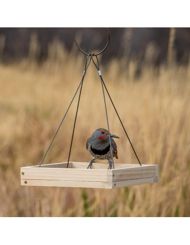 Comedero para Aves Colgante Perky-Pet 50178 0.73 kg