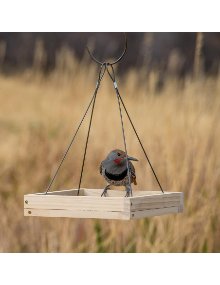 Comedero para Aves Colgante Perky-Pet 50178 0.73 kg