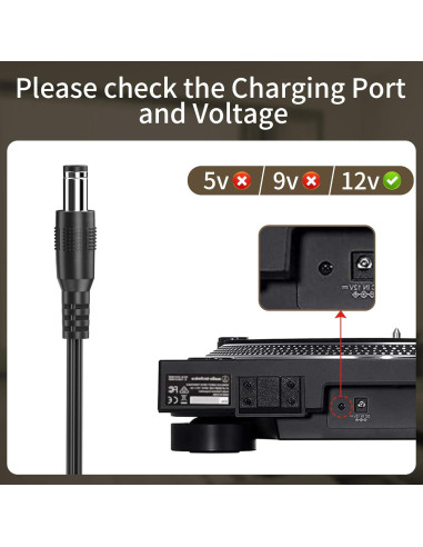 Cable de Alimentación 12V para Tocadiscos Audio Technica