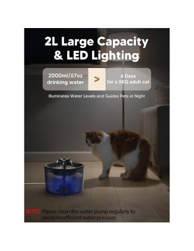 Dispensador Automático de Comida y Agua para Gatos CORGOTE 5L