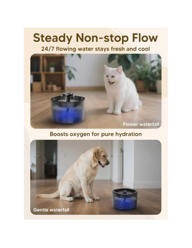 Dispensador Automático de Comida y Agua para Gatos CORGOTE 5L