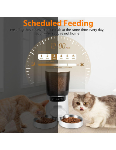 Dispensador Automático de Comida y Agua para Gatos CORGOTE 5L