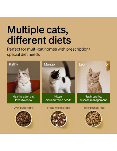 Alimentador Automático PETLIBRO RFID 3L y Fuente de Agua 3L