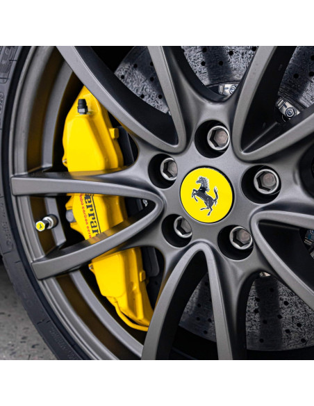 Recubrimiento Cerámico Gyeon Rim EVO para Ruedas 130g