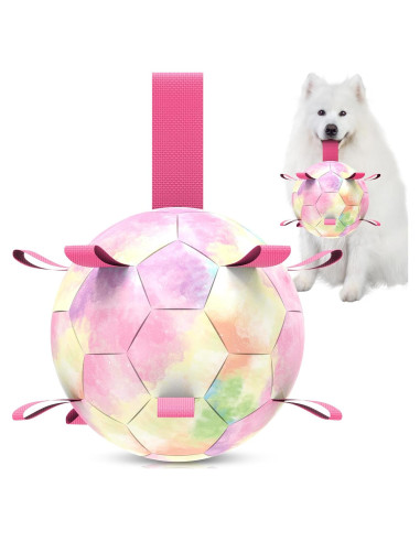 Balón de Fútbol para Perros QDAN Extra Grande 23 cm Arcoíris