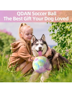 Balón de Fútbol para Perros QDAN Extra Grande 23 cm Arcoíris 2