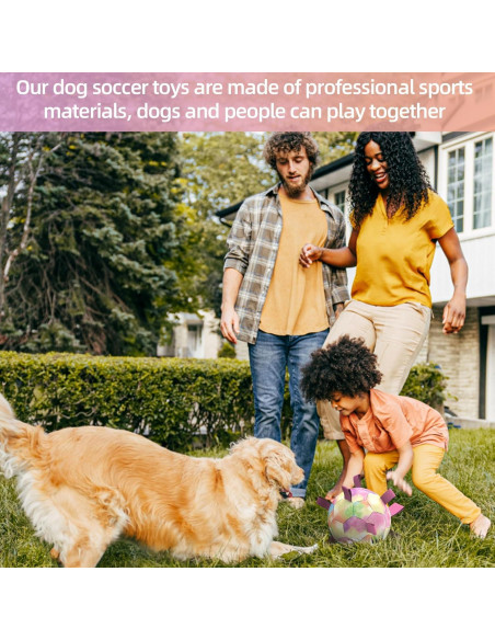 Balón de Fútbol para Perros QDAN Extra Grande 23 cm Arcoíris